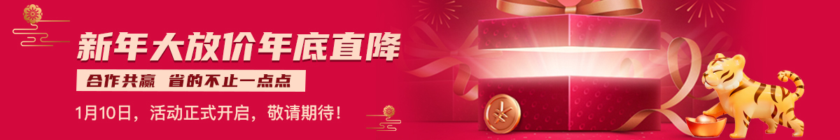 新年大放价